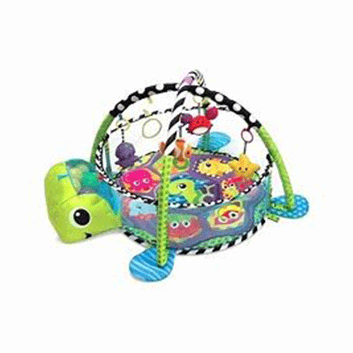 Gimnasio de Pelotas Tortuga - Aeiou 55120