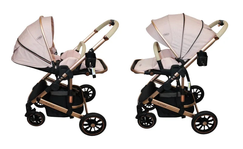 Carriola 4 en 1 Reversible Con Portabebe Alessia iBaby