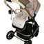 Carriola 4 en 1 Reversible Con Portabebe Alessia iBaby