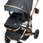 Carriola 4 en 1 Reversible Con Portabebe Alessia iBaby