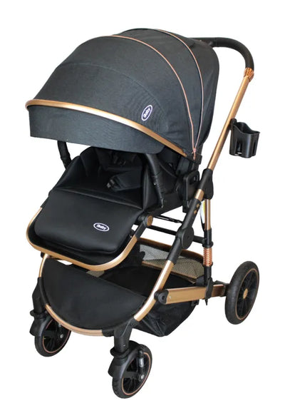 Carriola 4 en 1 Reversible Con Portabebe Alessia iBaby