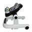 Andadera Y Caminadora 3 En 1 Musical Luces Led Negro Ibaby