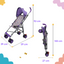 Carriola De Baston Plegable Ligera - Lila - Parents Choice