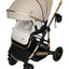 Carriola 4 en 1 Reversible Con Portabebe Alessia iBaby