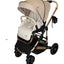 Carriola 4 en 1 Reversible Con Portabebe Alessia iBaby