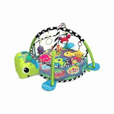 Gimnasio de Pelotas Tortuga - Aeiou 55120