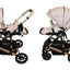 Carriola 4 en 1 Reversible Con Portabebe Alessia iBaby
