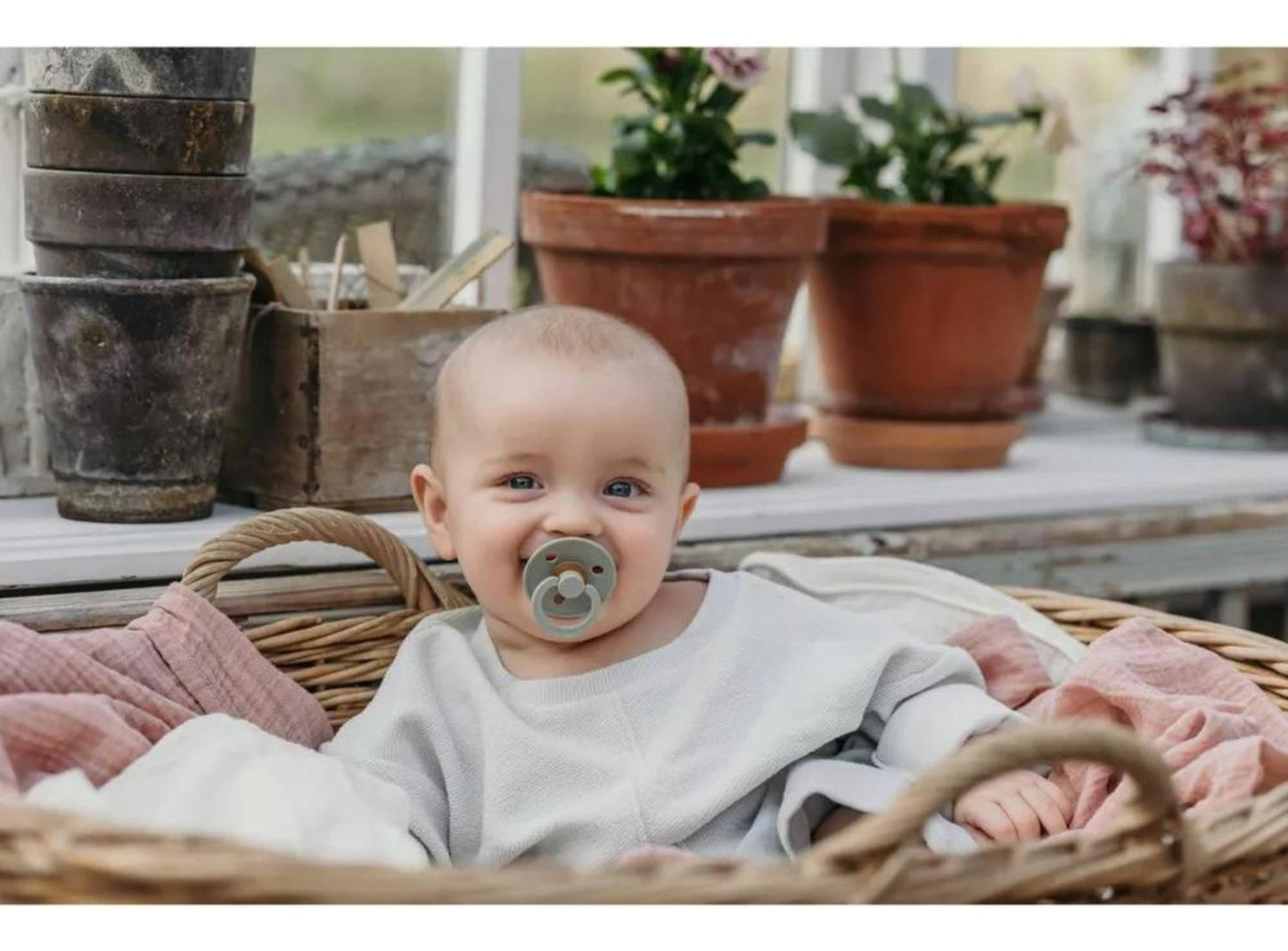 jpg_1500x1500_65686963